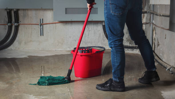 Best Commercial water damage restoration  in Caney, KS