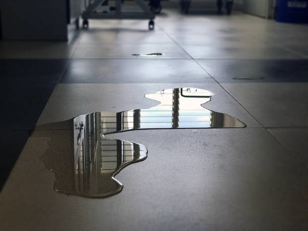 Best 24/7 water damage repair  in Caney, KS