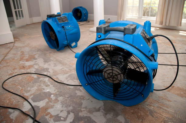 Best Flood restoration services  in Caney, KS