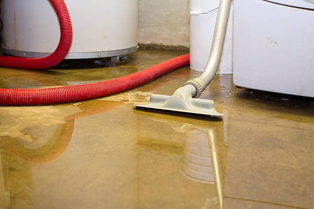 Best Water damage restoration company  in Caney, KS