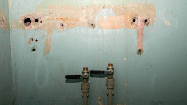 Best Residential water damage restoration  in Caney, KS