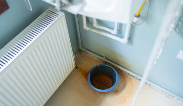 Best Water damage contractors near me  in Caney, KS