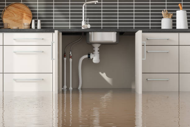 Best Ceiling water damage repair  in Caney, KS