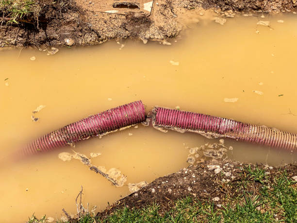 Best 24-hour water damage restoration  in Caney, KS