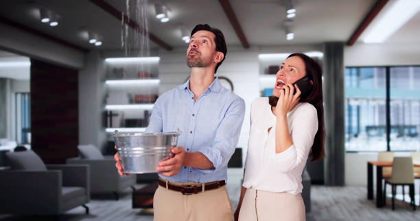 Best Water damage cleanup near me  in Caney, KS